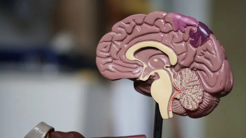 Consult neurologic